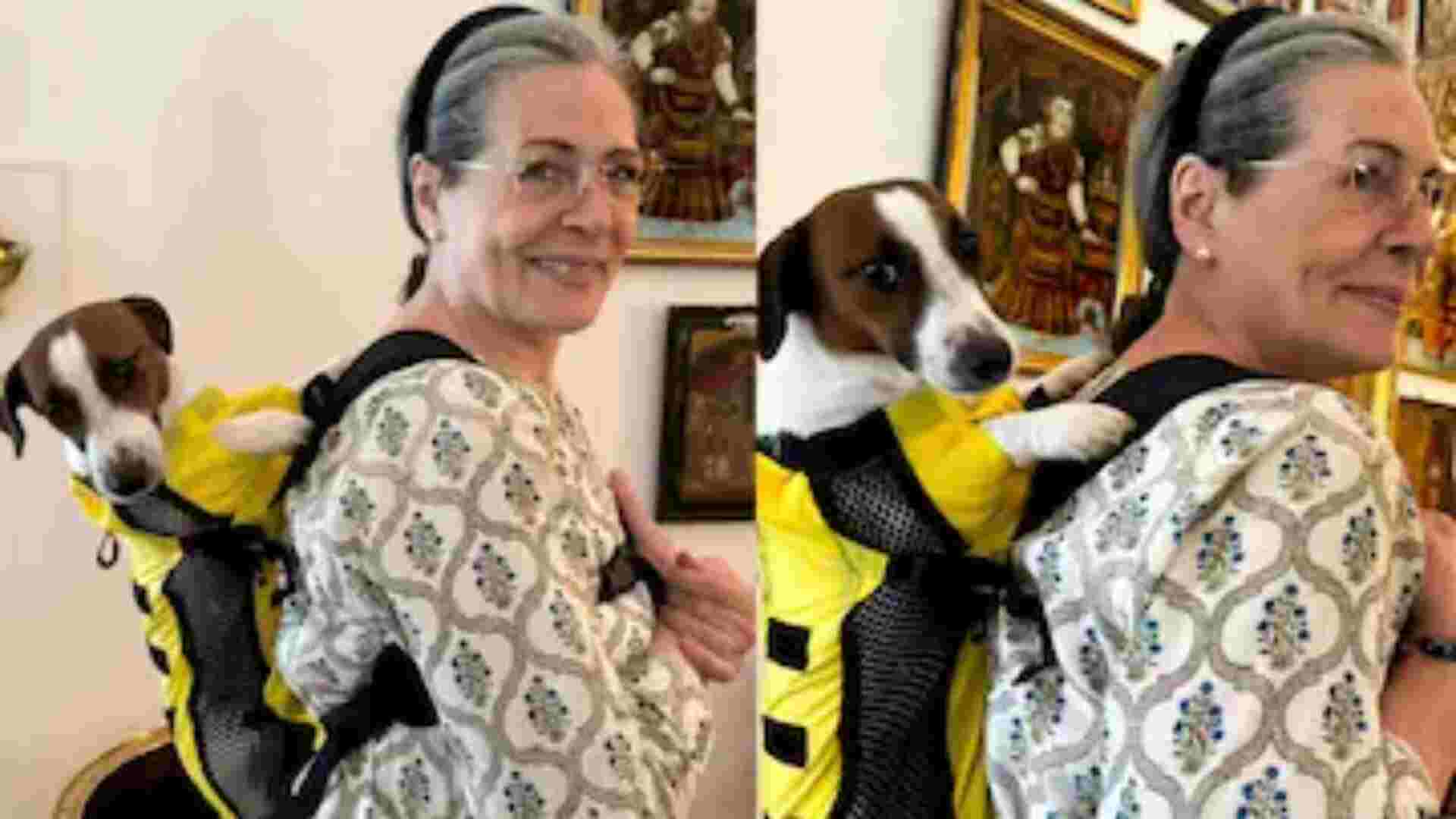 Rahul Gandhi Reveals Who Sonia Gandhi's True Favorite Is – And It's Not Him Or Priyanka