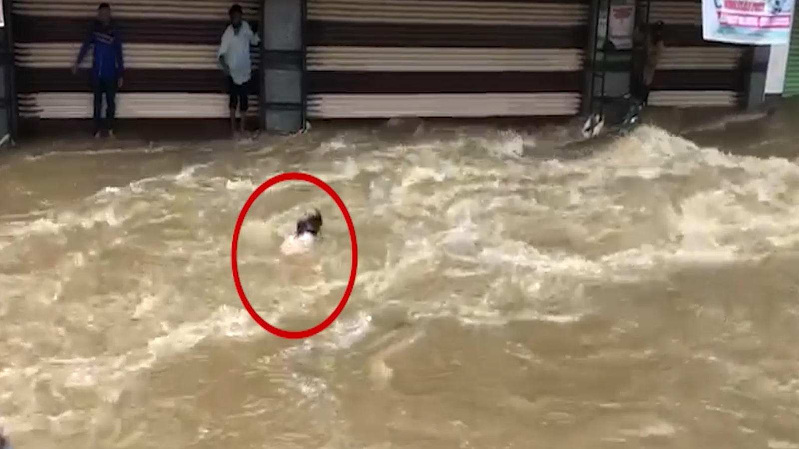 Telangana Rains: Thousands of vehicles stranded on Hyderabad-Vijayawada Highway