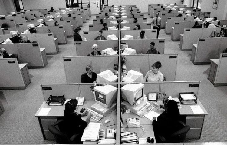 Company Transforms Swimming Pool into Office, Employees Use Ladders to Reach Desks — Social Media Buzzes